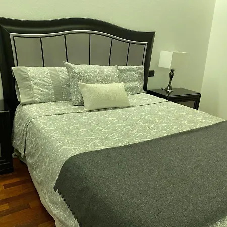 公寓 Luxury Descansotermal 奥伦塞