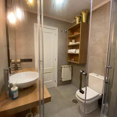 公寓 Luxury Descansotermal 奥伦塞